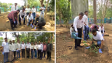 World Environment Day: सूरत में सखिया स्किन क्लिनिक और पी. जे. सखिया चैरिटेबल ट्रस्ट ने लगाए 100 पौधे