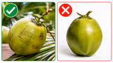 Recommended image1