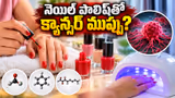 Nail Polish: నెయిల్ పాలిష్ వాడితే నిజంగానే క్యాన్సర్ వస్తుందా? మెడికల్ ఎక్స్‌పర్ట్స్ ఏం చెబుతున్నారంటే