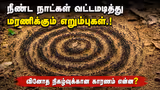 Recommended image2