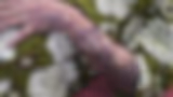 Recommended image2