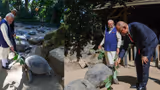 ವಿಶ್ವದ ಹಿರಿಯ ಆಮೆ 194 ವರ್ಷದ ಜೋನಾಥನ್‌ ವೀಕ್ಷಿಸಿದ ಮೋದಿ