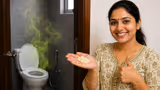 Cleaning Hack: டாய்லெட்ல கெட்ட வாடையா? 2 பூண்டு போதும்! மேஜிக்கை நீங்களே பாருங்க!