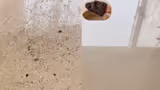 Recommended image1