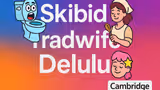 Skibidi, Tradwife, Delulu: 6,000+ Gen Z and Gen Alpha Words Added to Cambridge Dictionary — No Cap!