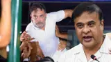 'ಸನಾತನ ಶಕ್ತಿ ಇರೋವರೆಗೆ...'  ರಾಹುಲ್ ಗಾಂಧಿಗೆ ಅಸ್ಸಾ ಸಿಎಂ ಹಿಮಂತ್ ಬಿಸ್ವಾ ಶರ್ಮಾ ಫೈನಲ್ ವಾರ್ನಿಂಗ್!