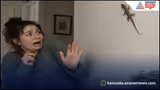 Recommended image2