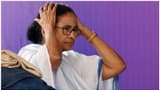 6 cases of poll violence and fake voting: Bengal dominates hall of shame