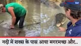 शख्स ने मगरमच्छ को लगाई दांट