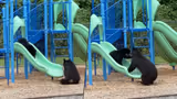 Recommended image2