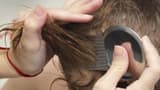 Hair Growth tips: ఈ ఒక్క ఆయిల్ వాడితే చాలు.. జుట్టు రాలమన్నా రాలదు!