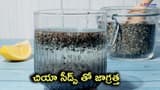 ఫైబర్ ఎక్కువుంది కదా అని ఎక్కువ తీసుకుంటే ఏమవుతుందో తెలుసా..చియా సీడ్స్ తినాలంటే ఈ జాగ్రత్తలు తీసుకోవాలిసిందే