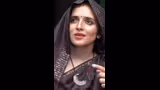 सीमा हैदर बनीं हीरोइन ! फिल्म 'कराची टू नोएडा' में आएंगी नजर 