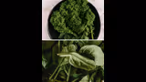 Recommended image1