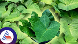 Recommended image1