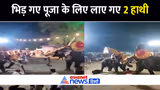 हमलावर हुए दो हाथी और केरल के अरातुपुझा उत्सव में मच गई भगदड़- Watch Video