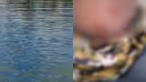 Recommended image2