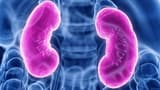Kidney Health: కిడ్నీలు ఆరోగ్యంగా ఉండాలంటే ఈ యోగాసనాలు కచ్చితంగా చేయాల్సిందే!