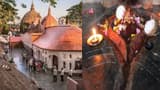 Why coconuts are smashed and prasadam is shared: Temple rituals demystified