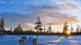 Travel Guide: 7 reasons which makes Finland the happiest country in the World