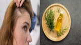 Hair care tips: బట్టతలపై జుట్టు పెరగాలంటే.. ఆలివ్ ఆయిల్ లో ఇవి కలిపి రాస్తే చాలు!