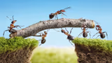 Recommended image1