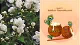 Janmashtami 2025: 5 flowers you must use to adorn Lord Krishna