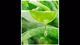 Recommended image2