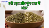 Food Guide: 90% लोग नहीं जानते हरी उड़द और मूंग दाल में फर्क, सिंपल ट्रिक से लगाएं पता