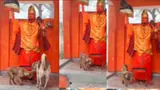 Bijnor News: मंदिर में 48 घंटे से हनुमान जी की परिक्रमा कर रहा कुत्ता