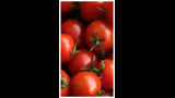 Recommended image2