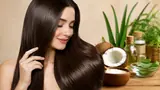 Recommended image2