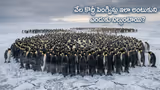 Recommended image1