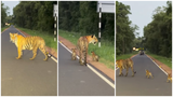Recommended image2