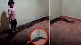Recommended image2