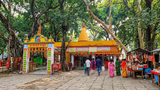 Van Devi Temple: সূর্য ডুবলেই এই মন্দিরে ঢোকা বারণ! ৪০০ বছরের পুরনো রহস্য জানেন?