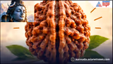 ಯಾವ ಮುಖದ ರುದ್ರಾಕ್ಷಿ ಧರಿಸಿದ್ರೆ ಏನು ಲಾಭ ? ರುದ್ರಾಕ್ಷಿ ಧರಿಸುವ ಮುನ್ನ ಇದು ನೆನಪಿರಲಿ