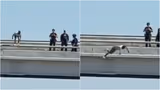 Dallas Overpass Tragedy : डॅलसमध्ये थरार! SWAT टीमसमोरच तरुणाची पुलावरून उडी, व्हिडिओ व्हायरल