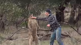Man punches kangaroo in the face to save his best friend