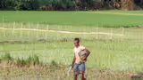 Recommended image2