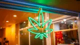 Retail Bulls Pile Into Cannabis Stocks On Reports Trump May Reclassify Marijuana; Traders Eye Aurora Rally