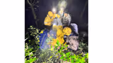 Recommended image2