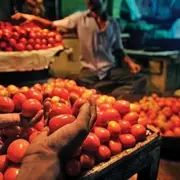 Pakistan runs out of tomatoes, takes loan from World Bank to buy them