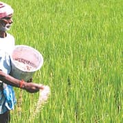 Karnataka Cracks Down on Illegal Fertiliser Sales, CM Siddaramaiah Orders Action Against Black Marketeers