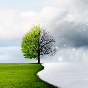 Climate Change: How Human Activity Is Creating New Seasons And Changing Nature's Calendar