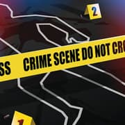 'Chased, Kicked Her': Indian-Origin Man Kills Mother Over TV Remote in UK, Jailed for Life
