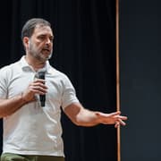 "Cruel, Shortsighted": Rahul Gandhi Slams SC's Order on Removing Stray Dogs in Delhi-NCR