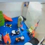 Noida Daycare Horror on CCTV: 15-Month-Old Punched, Bitten, Thrown, Slammed Against Wall By Staff (WATCH)