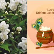 Janmashtami 2025: 5 flowers you must use to adorn Lord Krishna