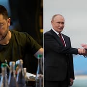 "Only Peace Deal Can End Horrific War": Trump On Russia-Ukraine Talks After Putin Meet